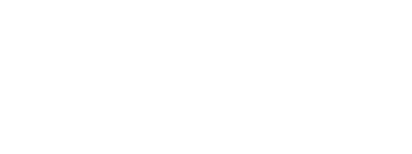 American Airlines Logo