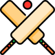 Cricket World Cup Icon